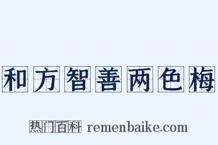 和方智善两色梅是什么意思的图片